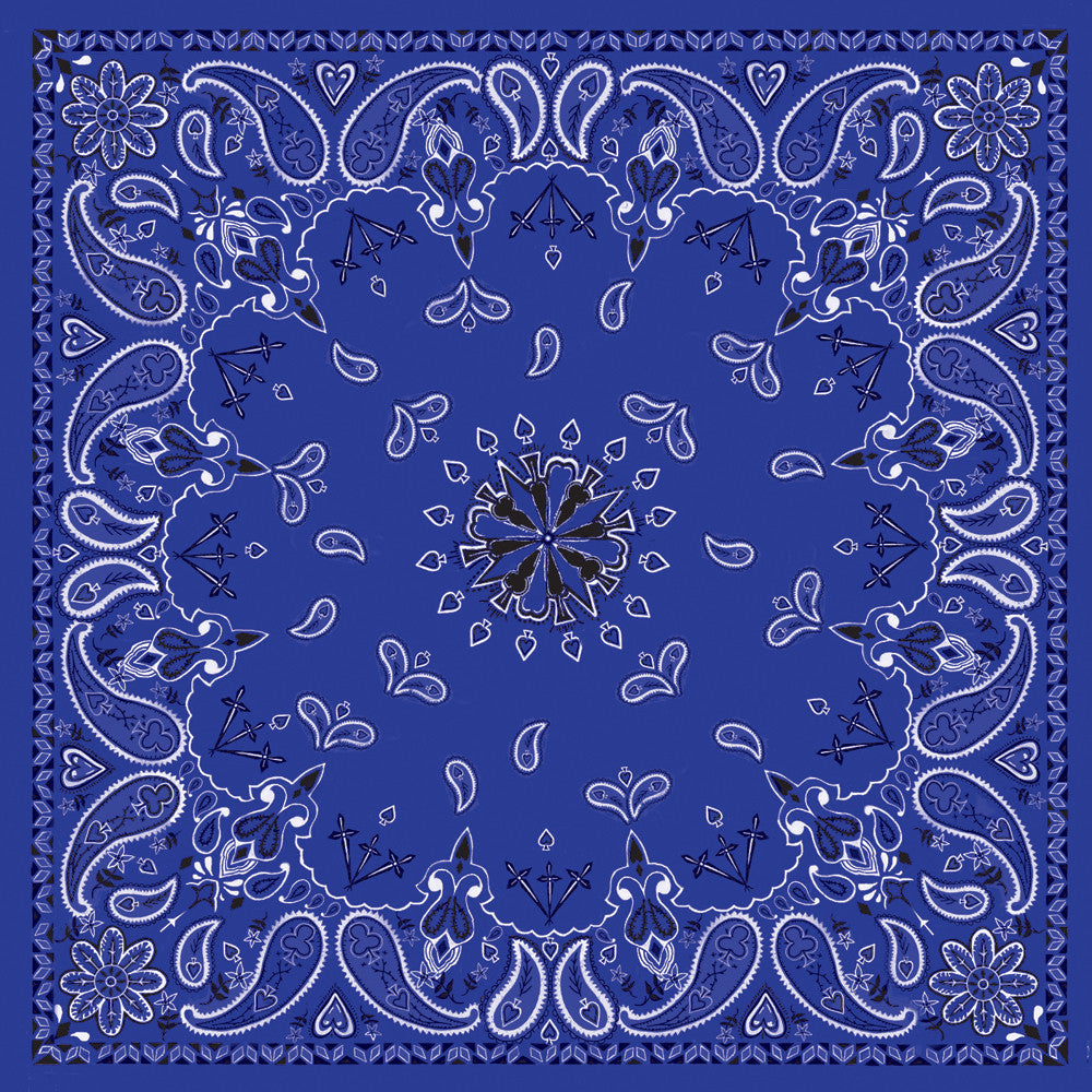 ZAN Bandanna Cycle Refinery